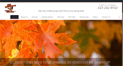 Desktop Screenshot of bigwoodystreeservice.com